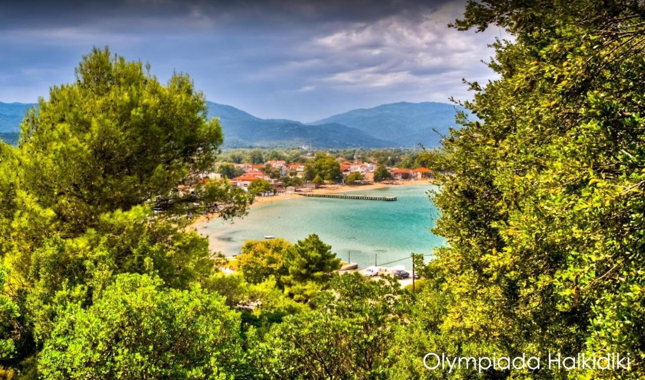 Mirini • Ancient Stagira Apts • Chalkidiki Olympiada Exterior photo