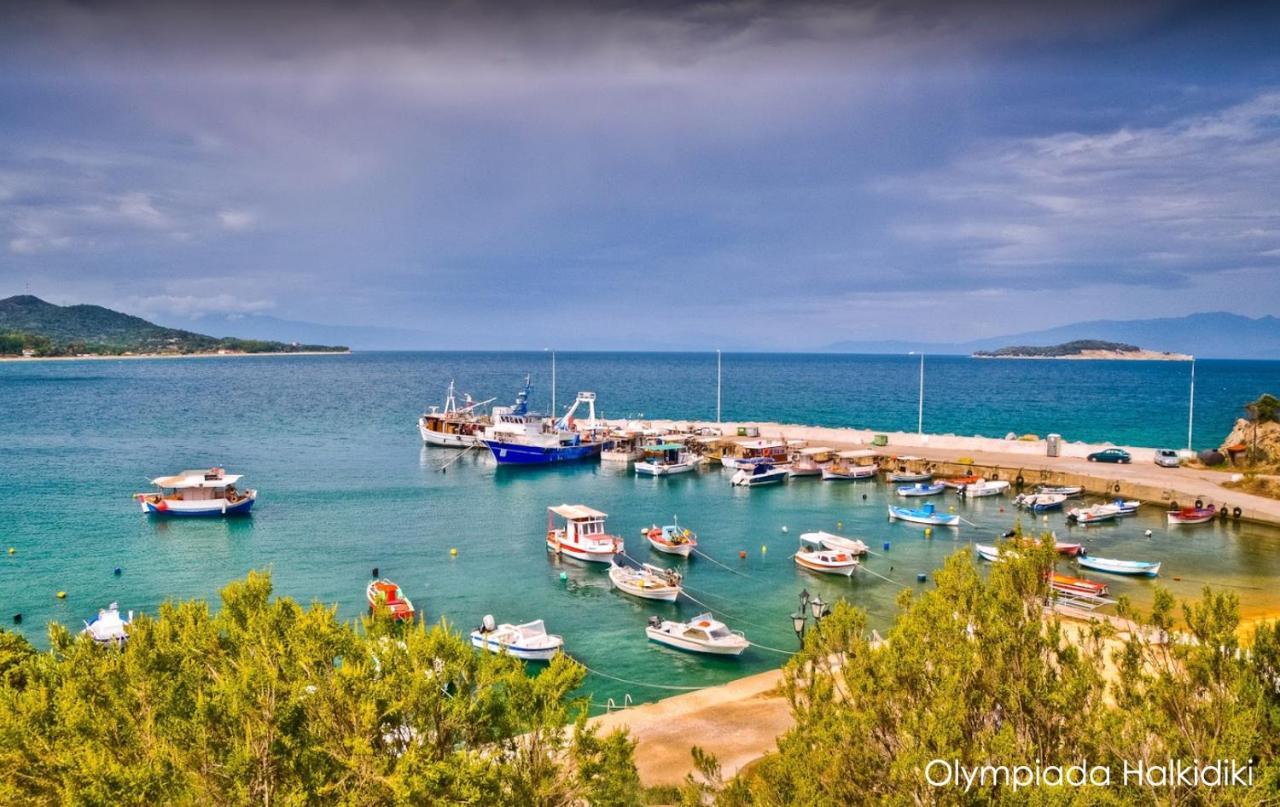 Mirini • Ancient Stagira Apts • Chalkidiki Olympiada Exterior photo