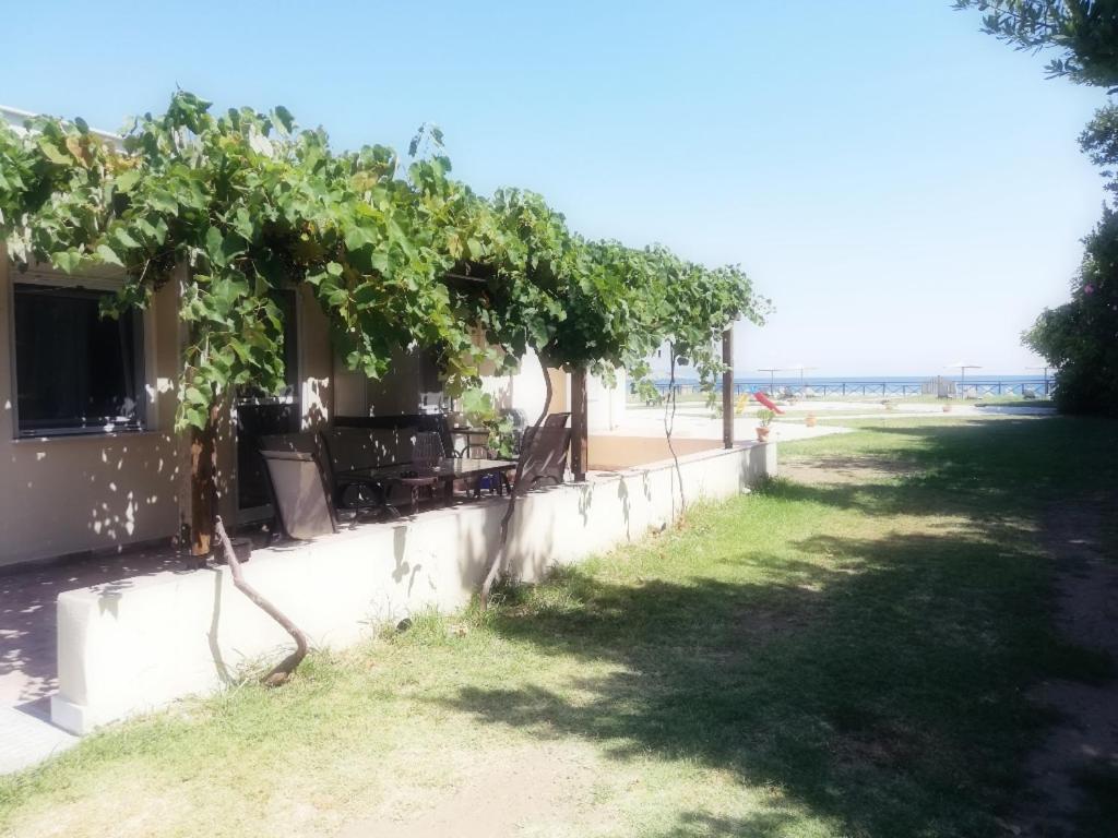 Mirini • Ancient Stagira Apts • Chalkidiki Olympiada Exterior photo